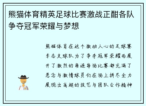 熊猫体育精英足球比赛激战正酣各队争夺冠军荣耀与梦想