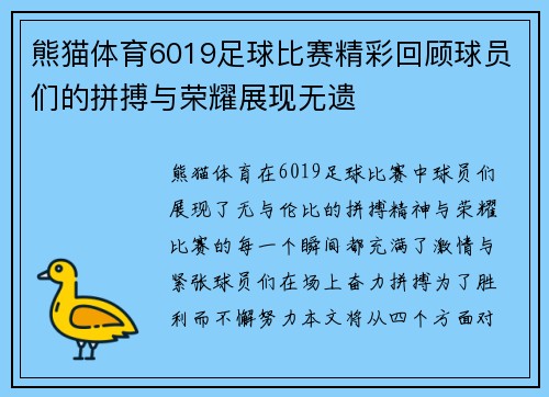 熊猫体育6019足球比赛精彩回顾球员们的拼搏与荣耀展现无遗
