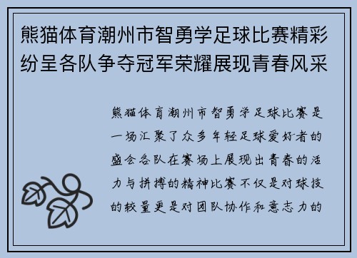 熊猫体育潮州市智勇学足球比赛精彩纷呈各队争夺冠军荣耀展现青春风采