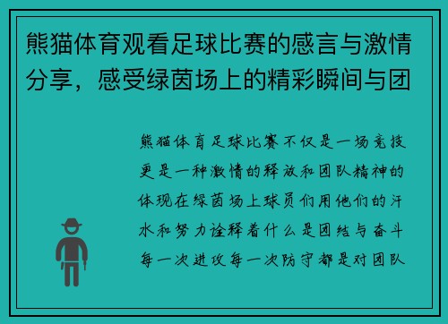 熊猫体育观看足球比赛的感言与激情分享，感受绿茵场上的精彩瞬间与团队精神