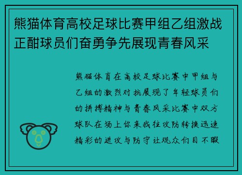 熊猫体育高校足球比赛甲组乙组激战正酣球员们奋勇争先展现青春风采