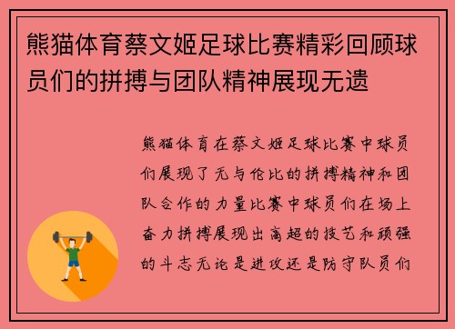 熊猫体育蔡文姬足球比赛精彩回顾球员们的拼搏与团队精神展现无遗