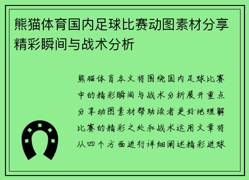 熊猫体育国内足球比赛动图素材分享精彩瞬间与战术分析