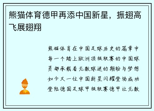 熊猫体育德甲再添中国新星，振翅高飞展翅翔