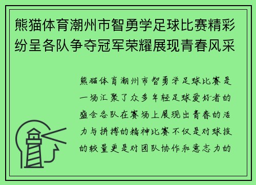 熊猫体育潮州市智勇学足球比赛精彩纷呈各队争夺冠军荣耀展现青春风采