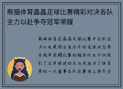 熊猫体育晶晶足球比赛精彩对决各队全力以赴争夺冠军荣耀